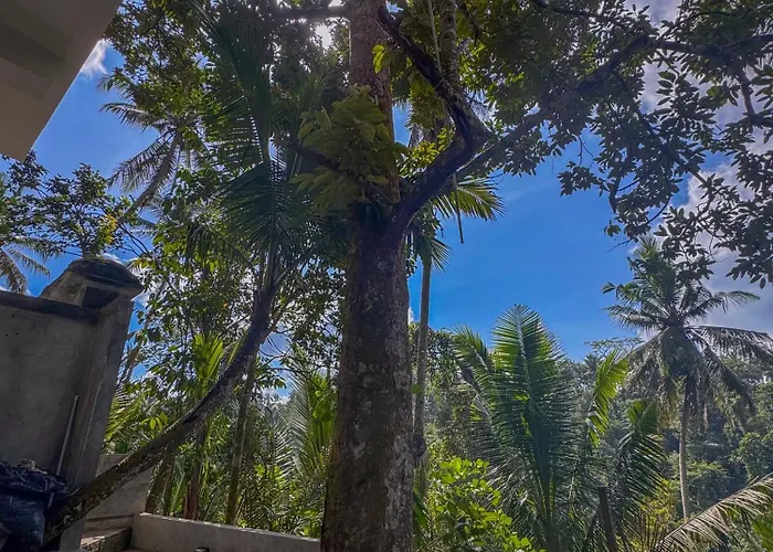 Made Punias Jungle Paradise